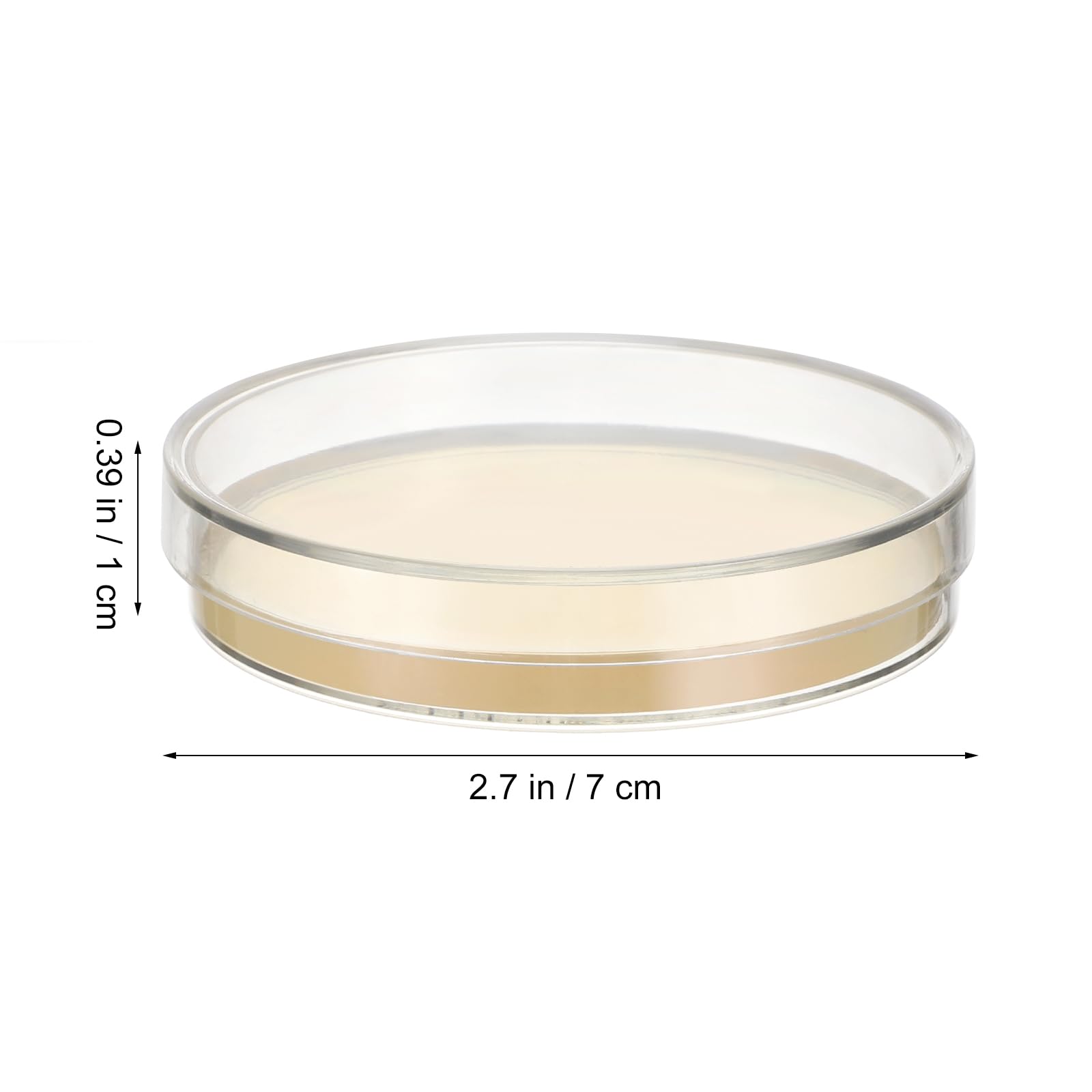 10pcs Nutrient Agar Plates - Pre-Poured Petri Dishes for Science Experiments, Tissue Culture & Lab Use | Ideal for Science Fair Projects, Microbiology Studies & Classroom Labs
