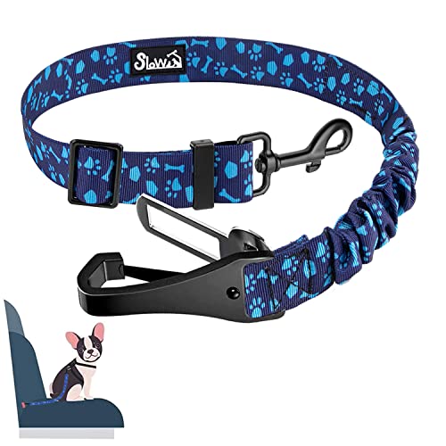 Blue Dog Paw