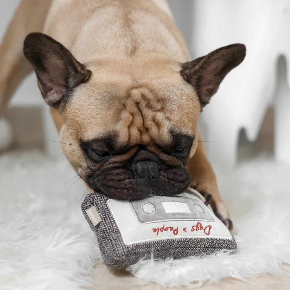 Interactive Cassette Snuffle & Squeaky Dog Toy - Fun Chew Toy for Small & Medium Dogs - Perfect for Indoor Play & Anxiety Relief