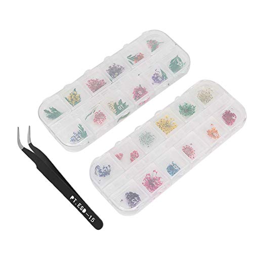 Premium Nail Art Dried Flower Decorations for DIY Manicure - Natural Floral Nail Stickers for Home Salon & Professional Nail Studio Use