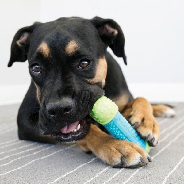 KONG CoreStrength Bone Dog Toy - Durable Chew Toy for Aggressive Chewers - Perfect for Large Dogs, Puppies & Training - Indoor & Outdoor Play