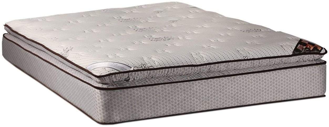Dream Solutions USA Orthopedic Plush PillowTop Twin Mattress with Mattress Cover Protector - Eurotop Design, Enhanced Cushion Support for Back Pain Relief, Durable & Ready to Use - Perfect for Guest Rooms, Kids' Beds & Small Spaces
