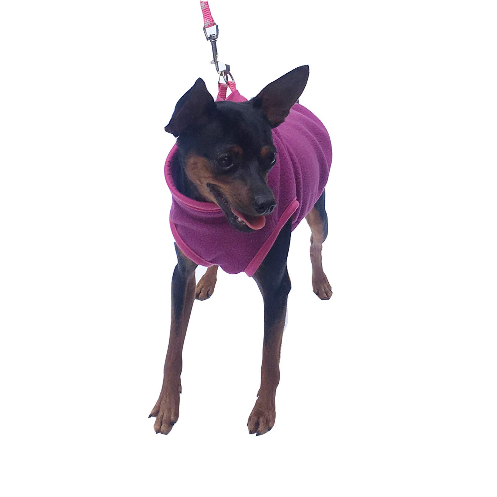 Winter Warm Dog Fleece Sweater - Cozy Pet Clothes for Small & Medium Dogs | Puppy Shirt, Dog Vest & Jacket (XS, Purple) | Perfect for Cold Weather Walks & Indoor Comfort