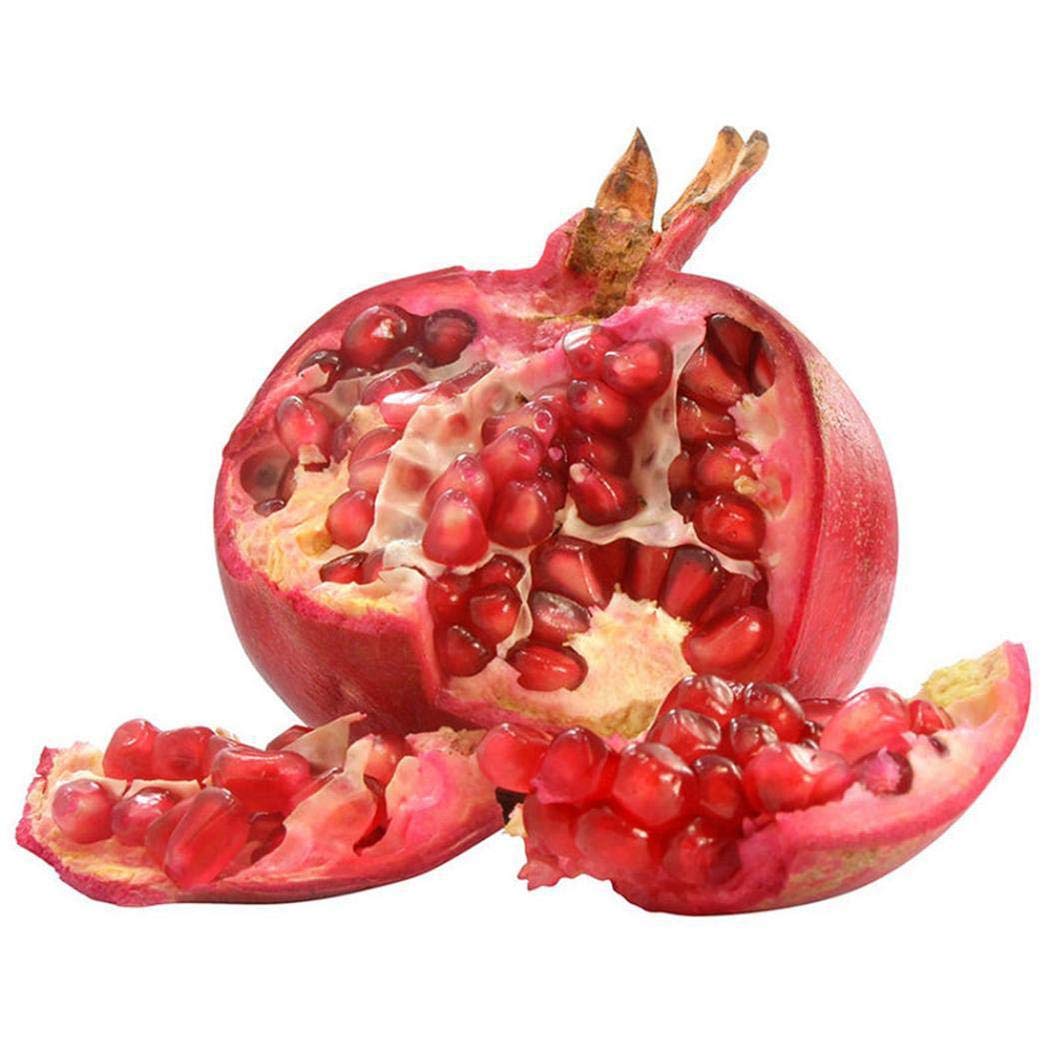 30 Pcs Pomegranate Bonsai Seeds - Grow Delicious Fruit Trees for Home Garden, Indoor & Outdoor Planting | Perfect for DIY Gardening, Landscaping, and Fresh Fruit Harvesting
