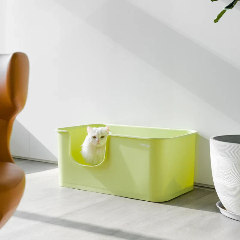 Premium Mango Open Litter Box for Large Cats - Extra Spacious Design for Comfortable Use | Ideal for Maine Coons, Ragdolls & Big Breeds | Perfect for Home, Apartment & Multi-Cat Households