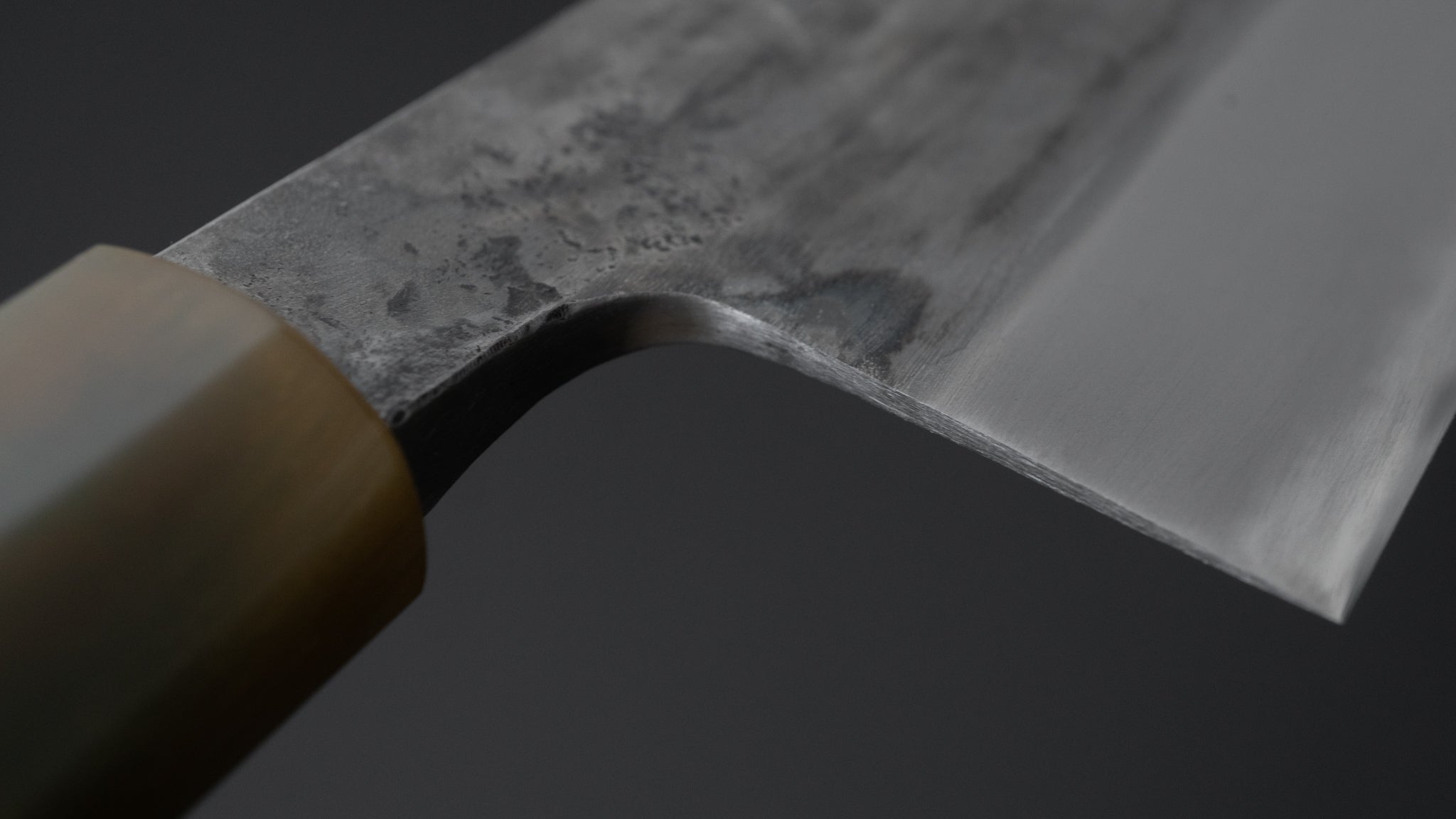 Premium Jiro Tsuchime Wa Gyuto 240mm Japanese Chef Knife with Taihei Tagayasan Handle - Perfect for Sushi, Sashimi & Precision Cutting (#509)