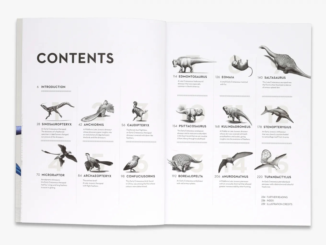 Dinosaurs Book by Michael J Benton - Comprehensive Guide to Prehistoric Creatures for Kids & Adults - Perfect for Education, Gifts & Home Libraries
