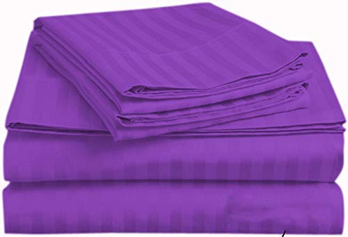 Purple Stripe