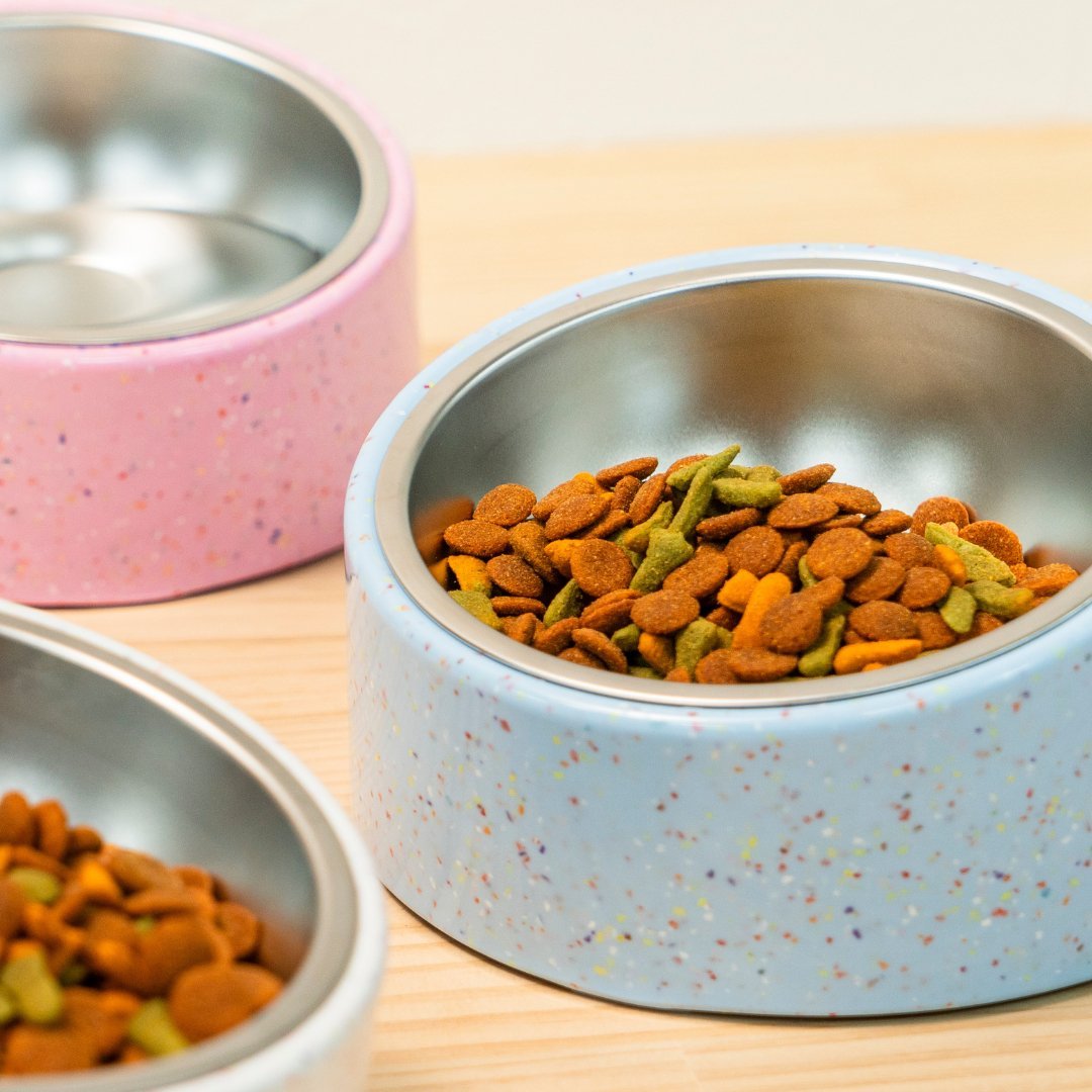 Bzyoo 16oz Tilted Dog Bowl for Small Dogs & Cats - Non-Slip Slow Feeder, Ergonomic Design for Better Digestion, Perfect for Puppies & Kittens - Blue (Ideal for Home, Travel & Vet Visits)