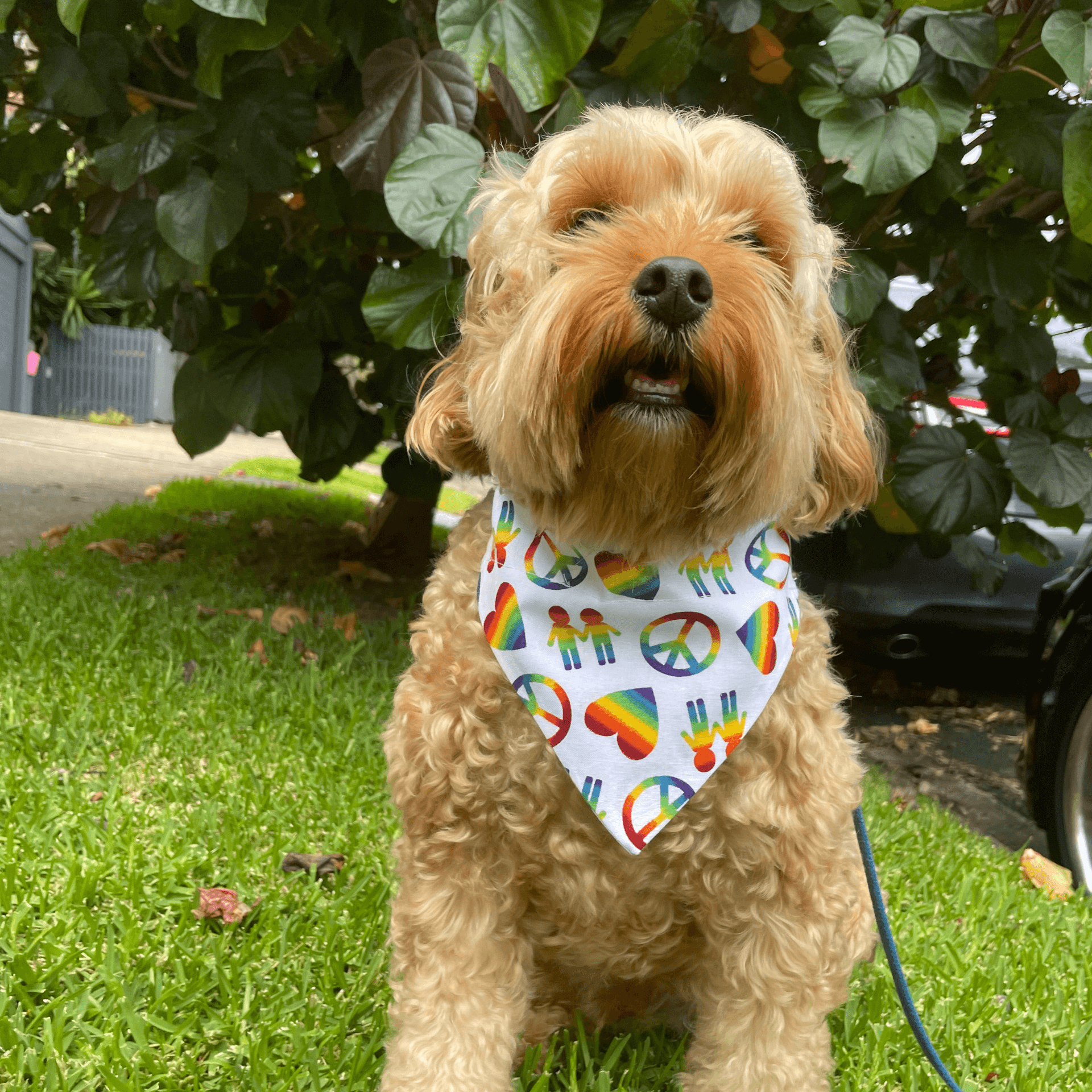 Rainbow Love and Peace Reversible Dog Bandana - Soft & Adjustable Pet Scarf for Small Medium Large Dogs - Perfect for Walks, Photos & Special Occasions