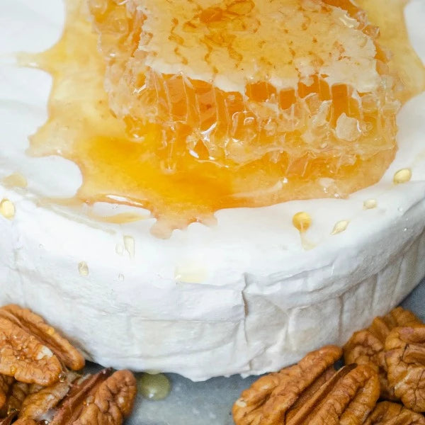 Pure Southern Honeycomb - Raw, Natural & Unfiltered Honeycomb for Tea, Cheese Pairing & Healthy Snacking