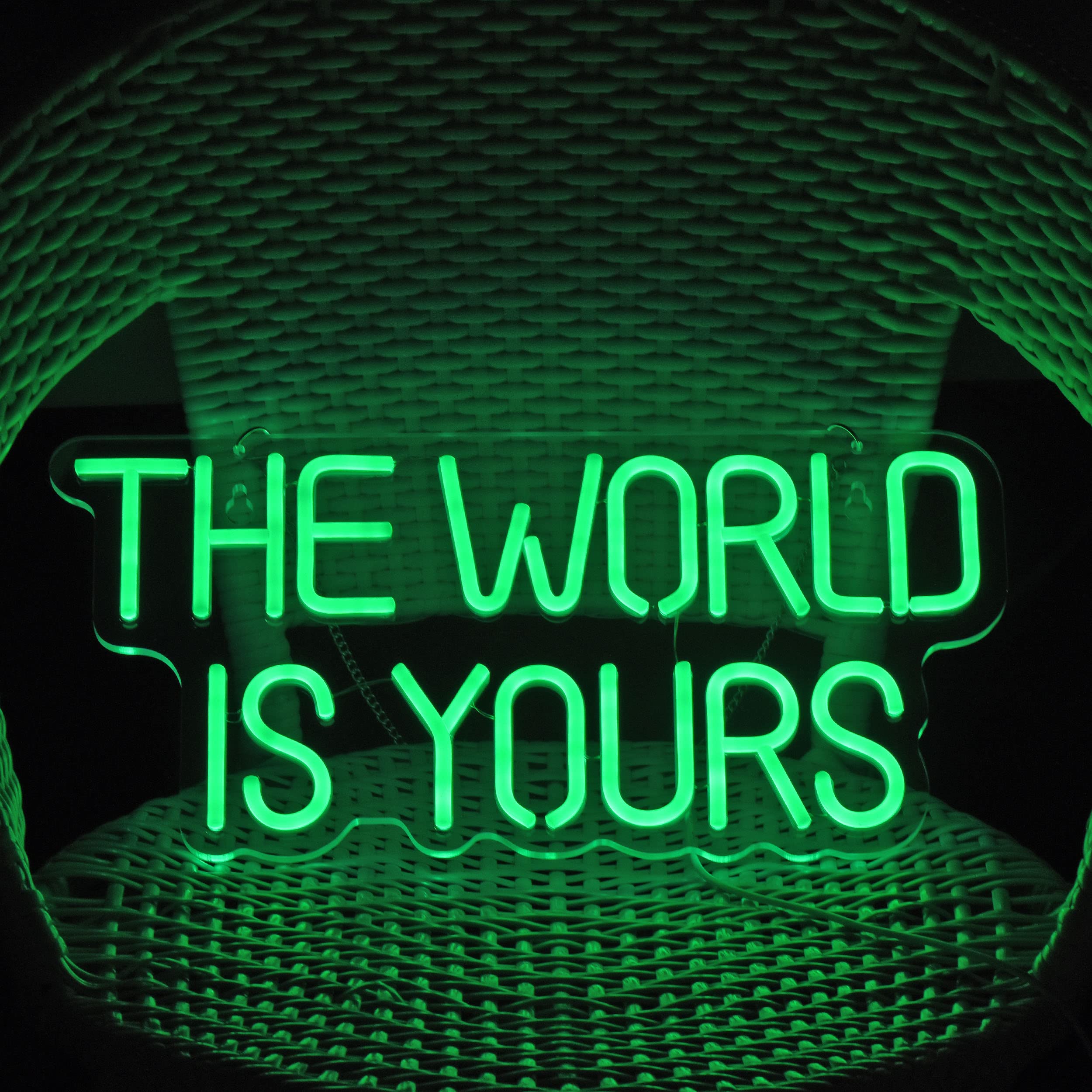 17x8 Inch LED Neon Green 'The World is Yours' Dimmable Wall Sign - Bedroom Decor, Home Accessories & Party Lighting for Living Room, Game Room and Holiday Decorations