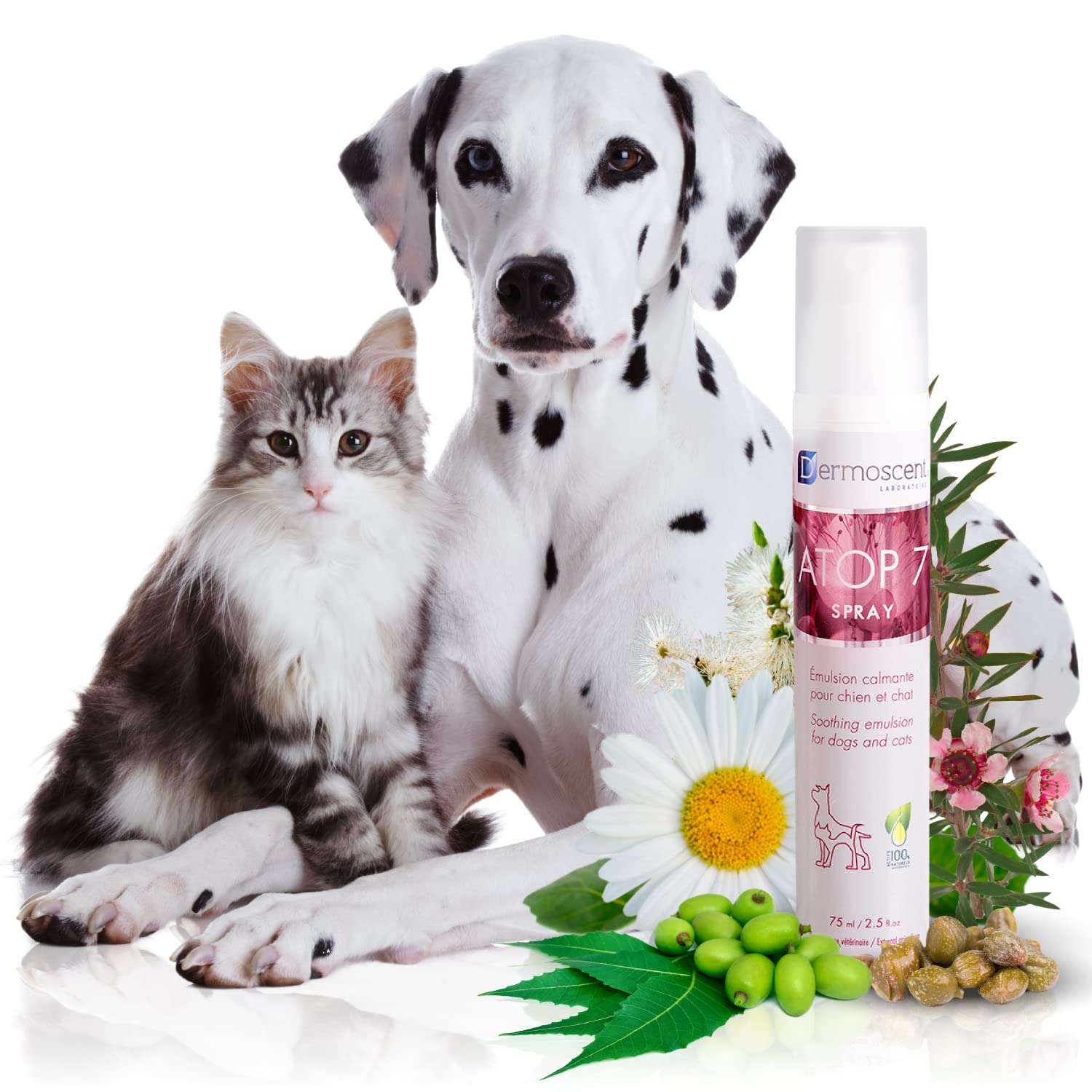 Dermoscent ATOP 7 Spray for Dogs & Cats - No Rinse Soothing Hydrating Skin Care Spray - Anti-Itch & Anti-Inflammatory Relief for Allergies & Sensitive Skin - 150ml - Perfect for Daily Use & Post-Bath Hydration