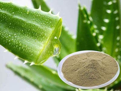 Organic Aloe Vera Powder for Skin Whitening & Hair Care - 1Kg Dry Pack | Natural Face Brightening, Hydration & Scalp Treatment for Glowing Skin & Healthy Hair