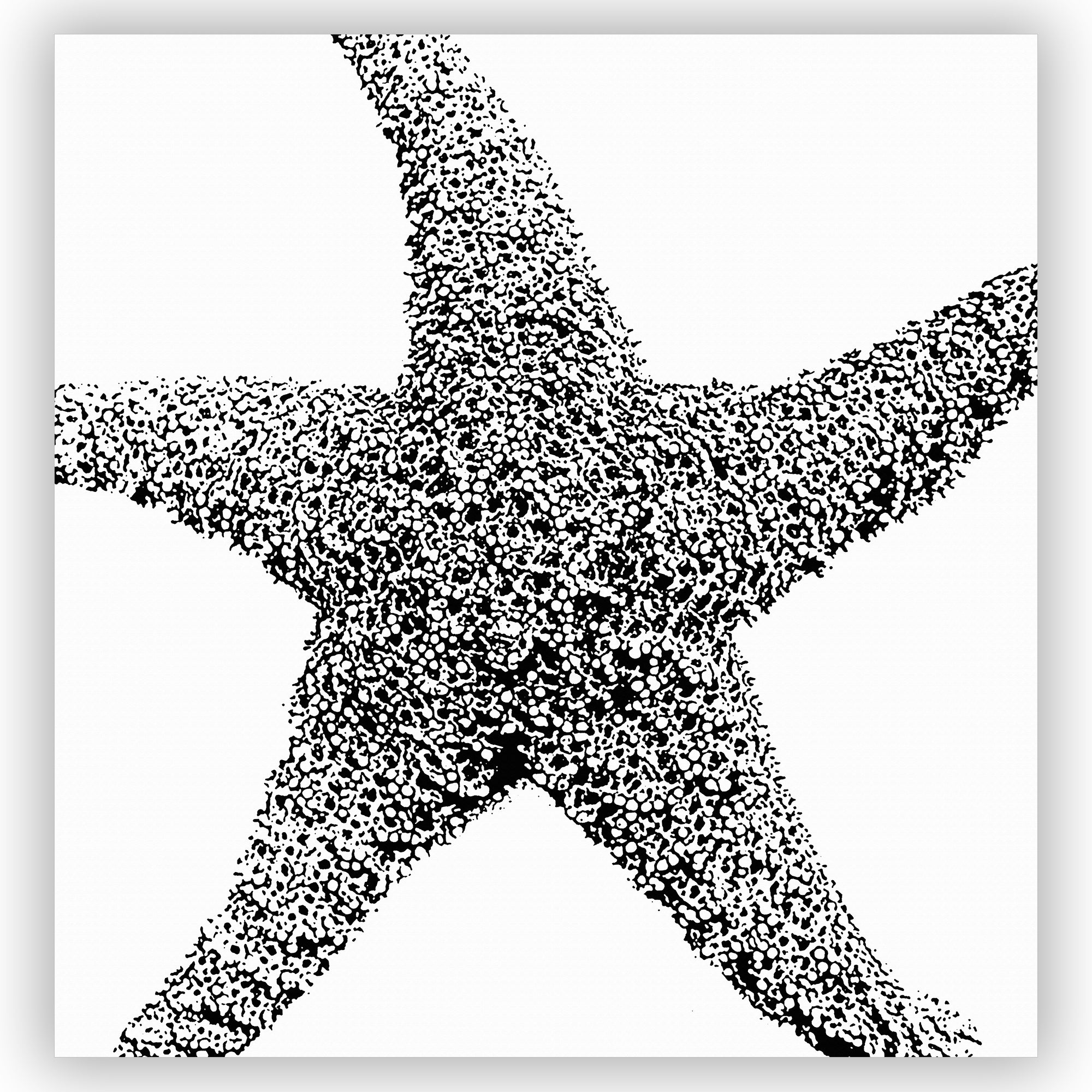 Stylish Black and White Starfish Art Print Shower Curtain - Waterproof Bathroom Decor for Coastal & Beach Theme Homes