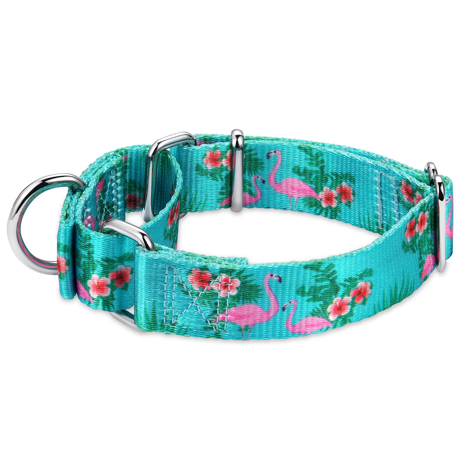 Martingale Dog Collar - Heavy Duty No-Buckle Training Collar for Small, Medium & Large Dogs | 5/8