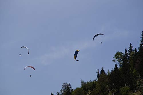 20x30 Inch Skydiving Parachute Championship Laminated Poster - Vibrant Colors & High-Quality Print - Perfect for Home, Office, or Dorm Decor - Fits Standard Frames - Adventure Sports Wall Art