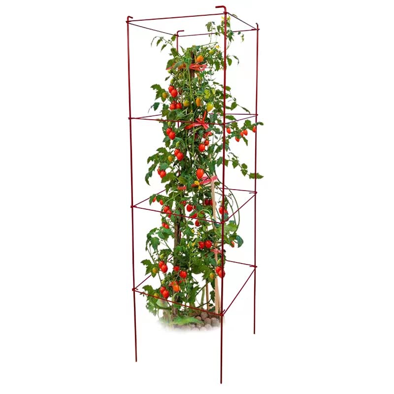 Heavy Duty Tomato Cages Plant Stand with 164 Feet Twist Ties - Sturdy Garden Plant Supports for Tomatoes, Cucumbers & Climbing Vegetables | Perfect for Home Gardening, Backyard Farms & Greenhouse Use