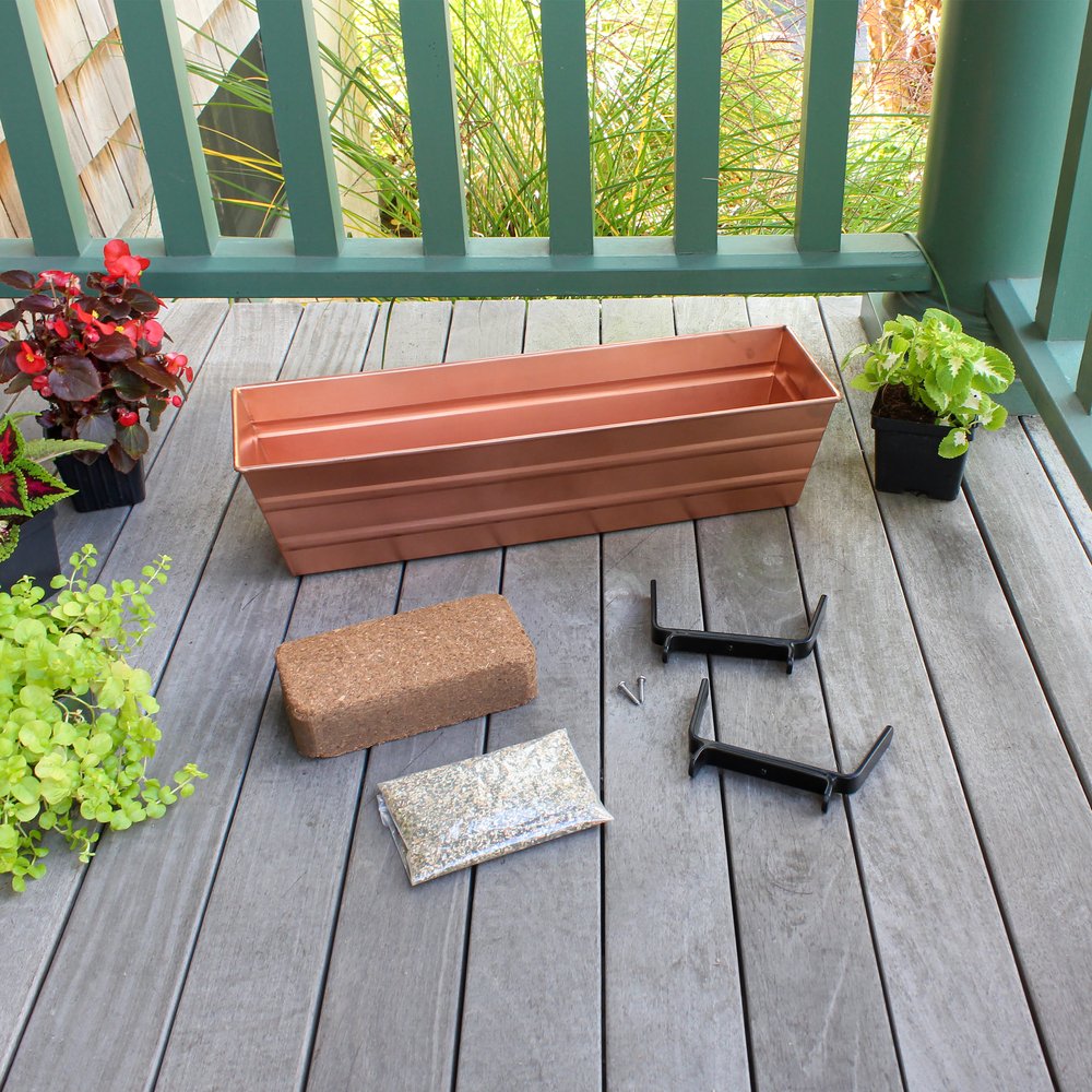 Bloom Box Garden Growing Kits - Compact Indoor Herb Garden Kit with Multiple Mounting Options for Windows, Walls & Countertops | Perfect for Kitchen, Apartment & Small Space Gardening