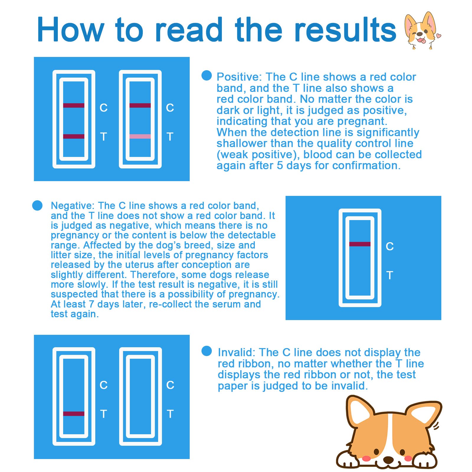 Dog Pregnancy Test Kit - Canine RLN Early Detection Test Strips for Home Use, Accurate & Easy DIY Pet Pregnancy Testing (1 Pack) - Perfect for Breeders & Pet Owners Monitoring Dog Health