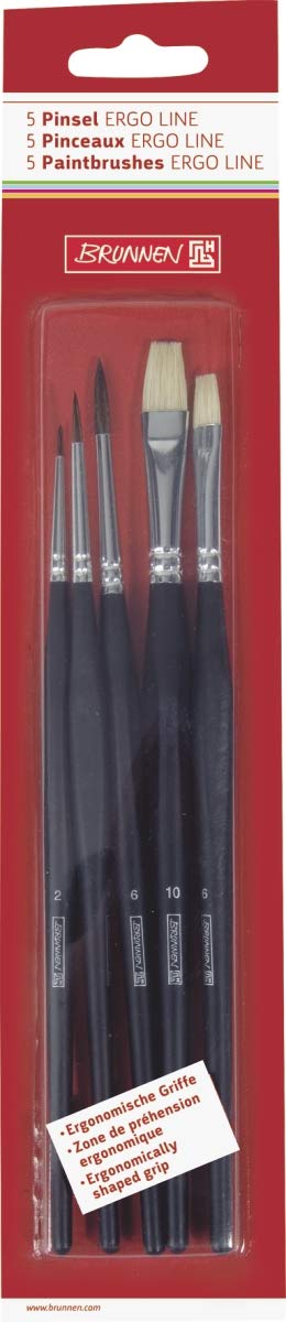 104893301 Premium School Brush Set - 5-Piece Artist Paint Brushes (Includes 2/4/6 Fine Hair Brushes & 6/10 Bristle Brush) for Students, Classroom Art Projects & DIY Painting