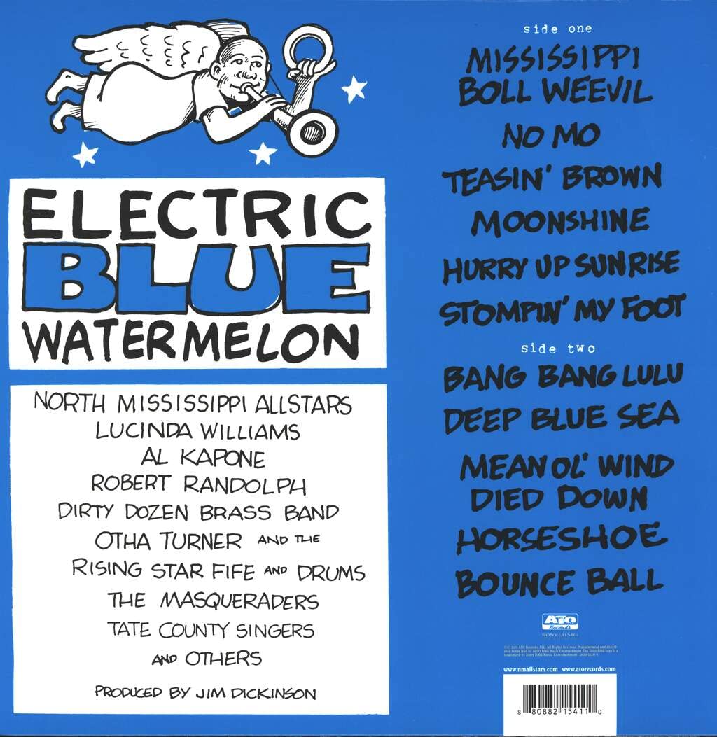 Electric Blue Watermelon Vinyl Record - Limited Edition Collectible for Music Lovers & Audiophiles - Perfect for Home Decor, DJ Sets & Vinyl Collections