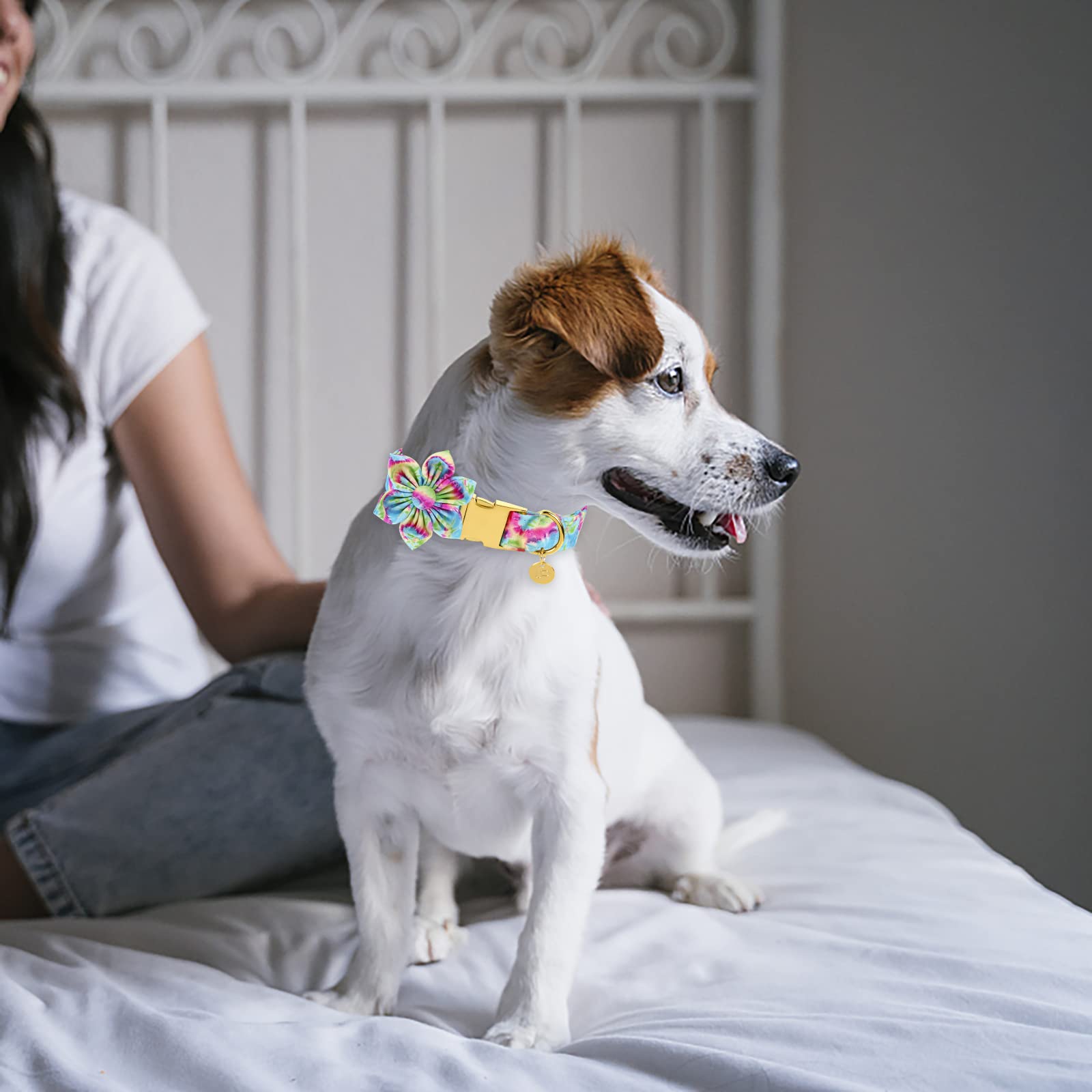Flower Dog Collar for Small Female Dogs - Adjustable Cotton Pet Collar with Metal Buckle - Comfortable & Cute Design for Daily Walks, Playtime & Outdoor Adventures