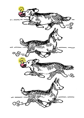 Welsh Corgi Birthday Card - Funny Dog Lover Greeting Card with 'Happy Birthday' Message Inside - Perfect for Corgi Owners & Dog Lovers Birthday Gifts