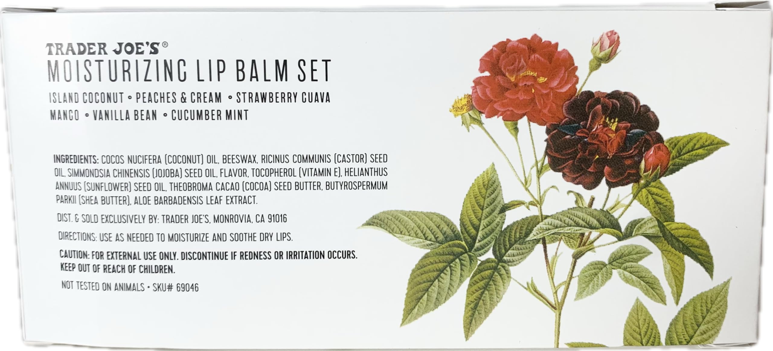 Trader Joe's Moisturizing Lip Balm Set - 6 Pack (0.13 OZ/3.7g Each) | Natural Hydration for Dry Lips | Perfect for Daily Use, Travel & Gifts