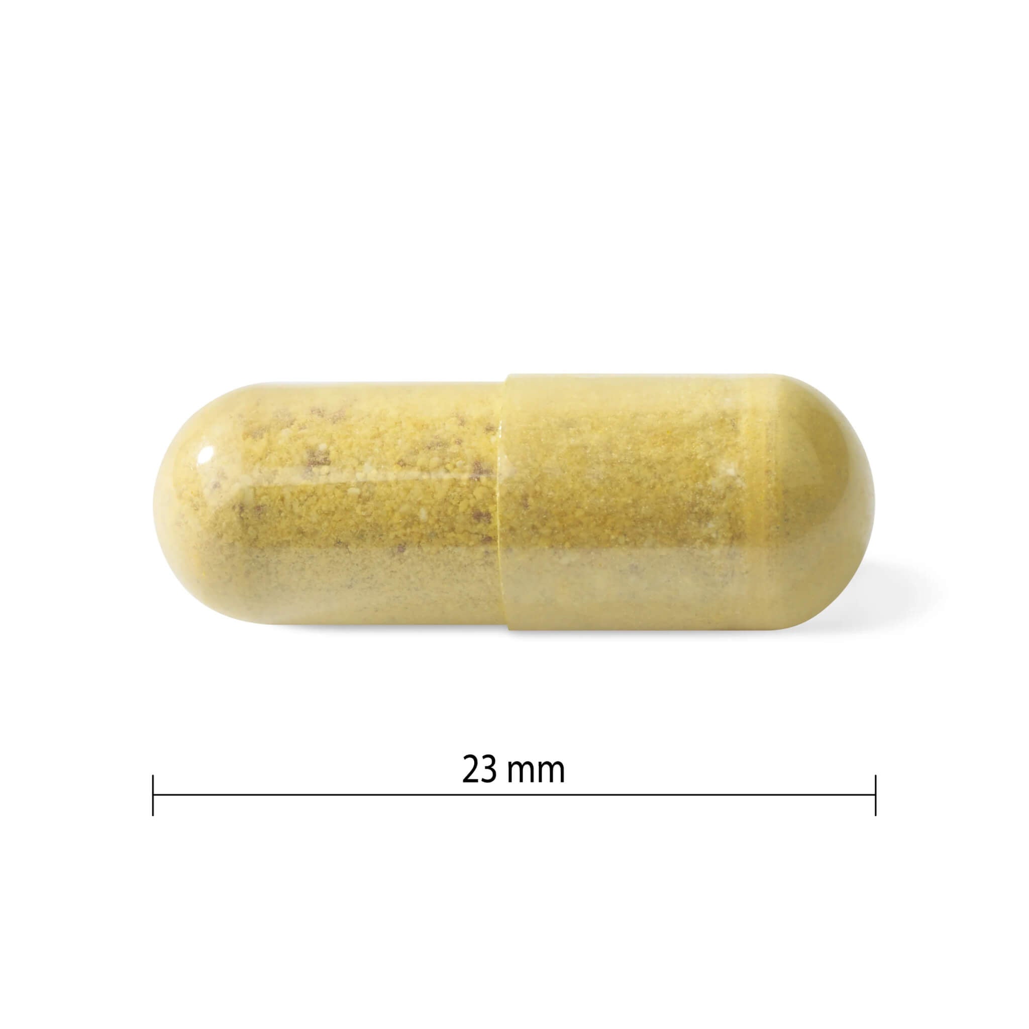 Best Multivitamin for Women Over 50 - Essential Daily Nutrients for Bone, Heart & Immune Health - Perfect for Active Lifestyles & Menopause Support