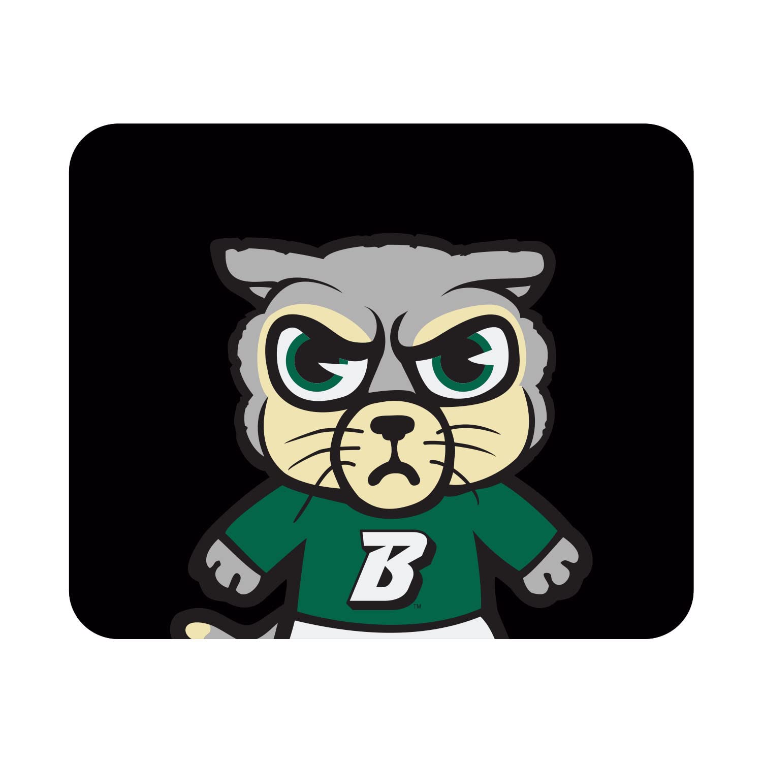 OTM Essentials Binghamton University Standard Fabric Mouse Pad - Non-Slip Desk Accessory for Gaming & Office Use - Durable Computer Mousepad with Premium Fabric Surface - Perfect for Work, Study & Gaming Setups