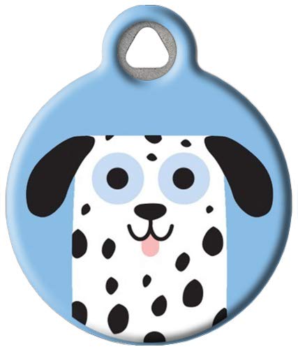 Dalmatian Boy