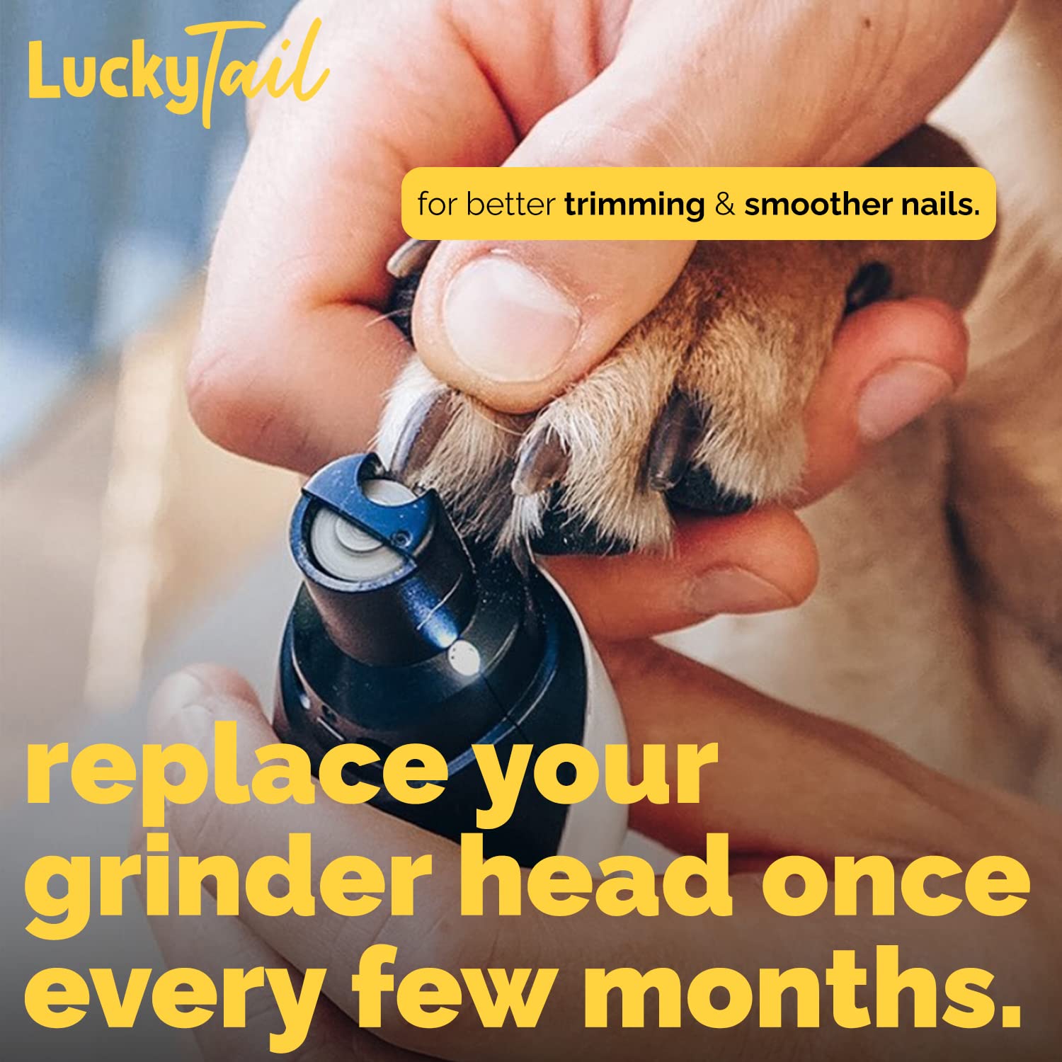 LuckyTail Dog Nail Grinder for Small & Large Dogs - Professional Pet Grooming Kit with Diamond Tip Drill Bit & 3 Replacement Heads (Regular, Hard, Soft) - Premium Quality Nail Trimmer for Safe At-Home Grooming | Perfect for Puppy Care & Senior Dog Maintenance