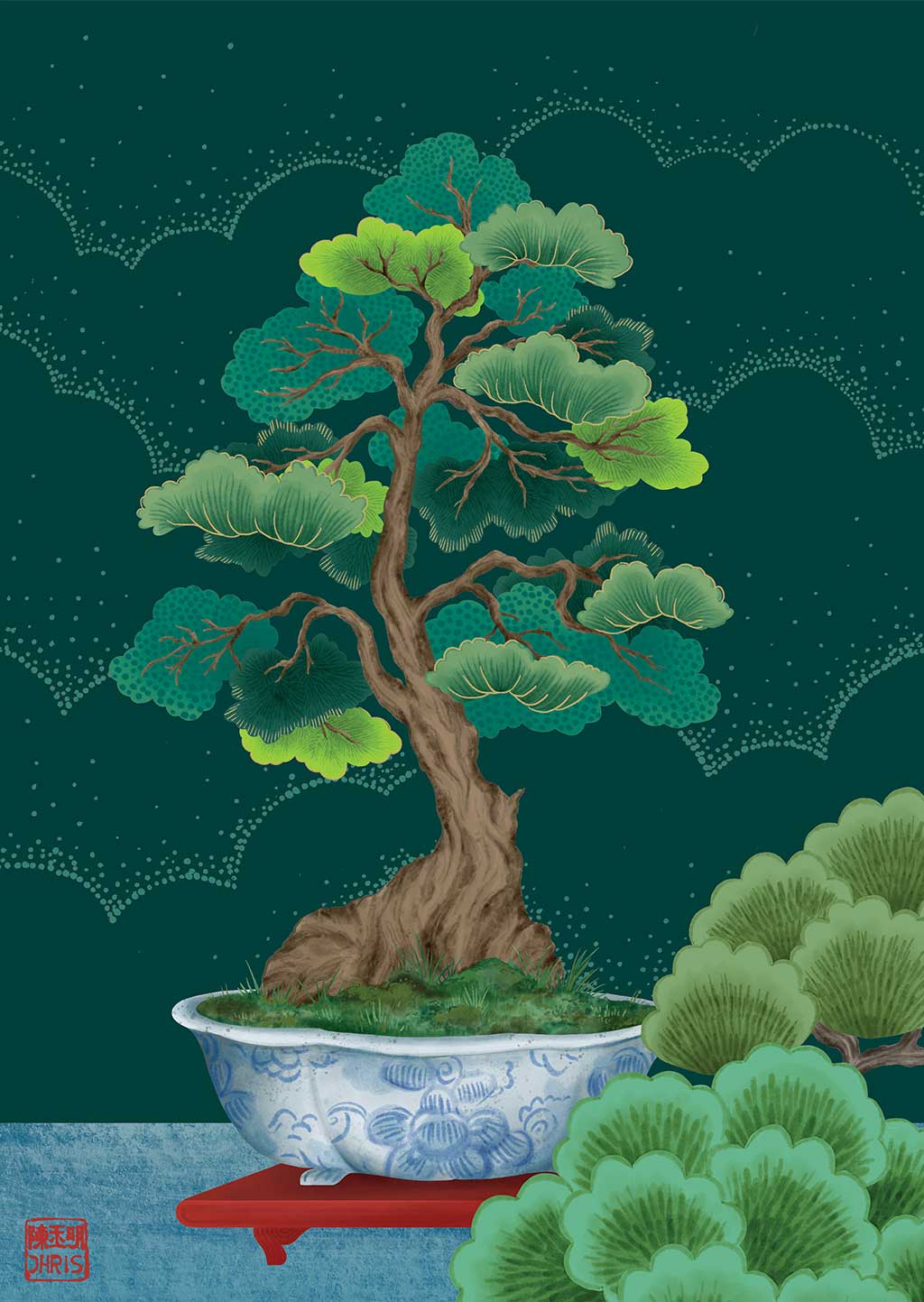 Premium Bonsai Tree Kit - Complete Starter Set for Indoor & Outdoor Gardening | Perfect for Home Decor, Office Zen Spaces & Gift Giving