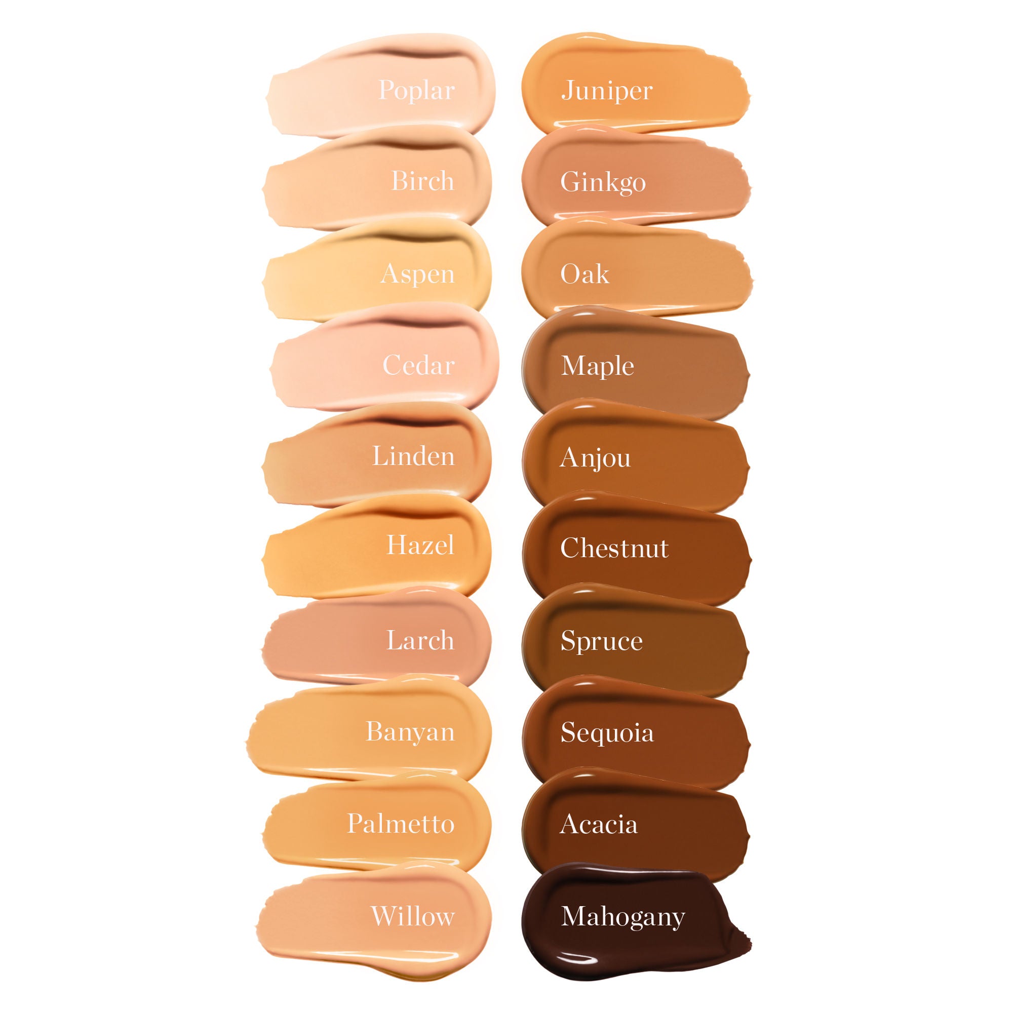 Complexion Perfecting Tinted Serum - Lightweight Foundation with SPF & Skincare Benefits for Flawless Coverage | Perfect for Daily Wear & Natural Makeup Looks