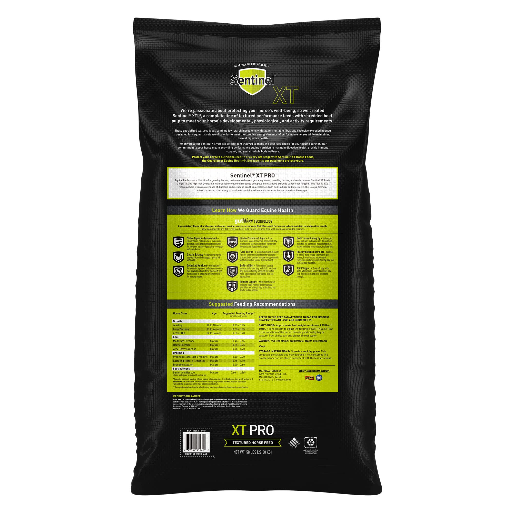 Sentinel XT Pro 50 lb Heavy Duty Sandbag for Weight Training, CrossFit, and Home Gym Workouts - Perfect for Strength Building, Fitness, and Outdoor Exercise