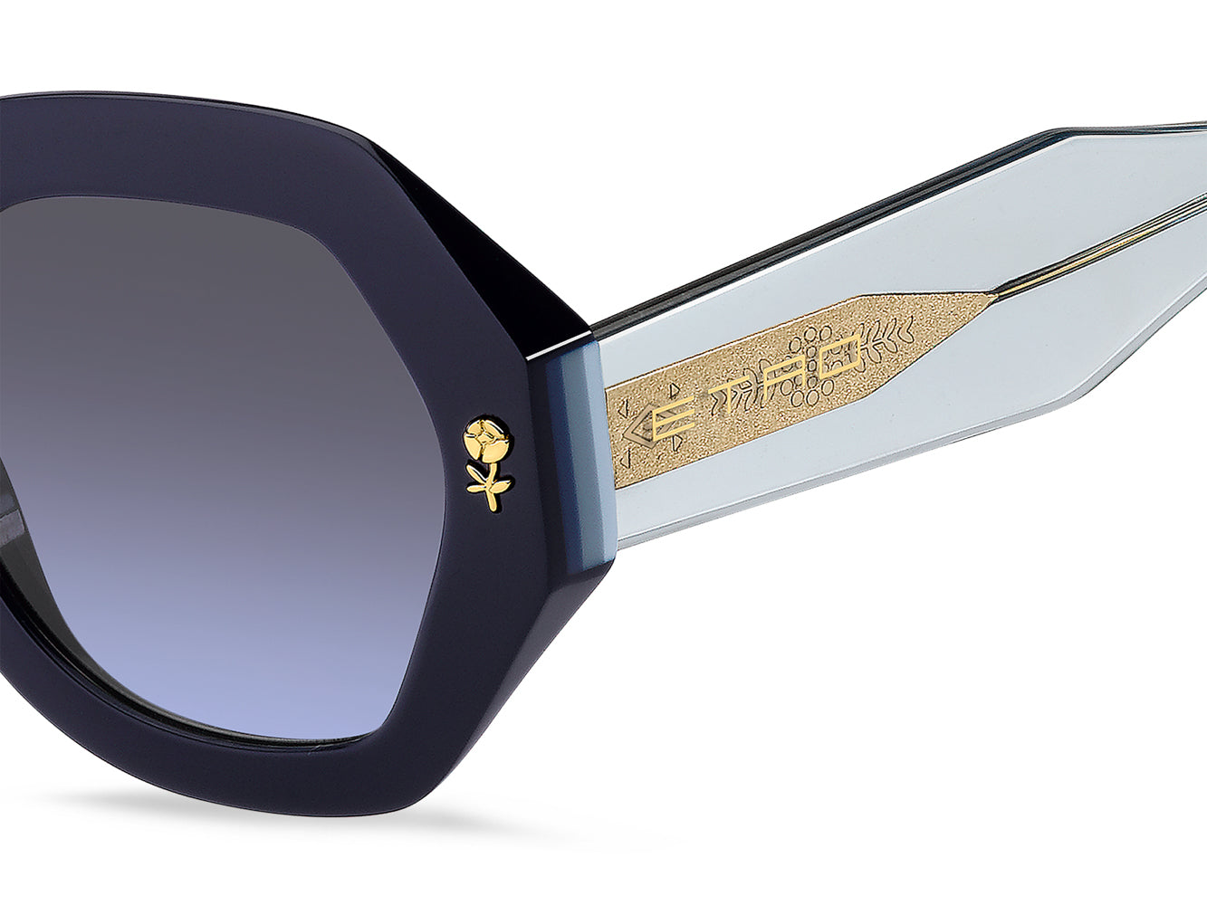Etro 0009 S - Premium Luxury Sunglasses for Men & Women | UV Protection, Stylish Design | Perfect for Outdoor Activities, Travel & Fashion Statements