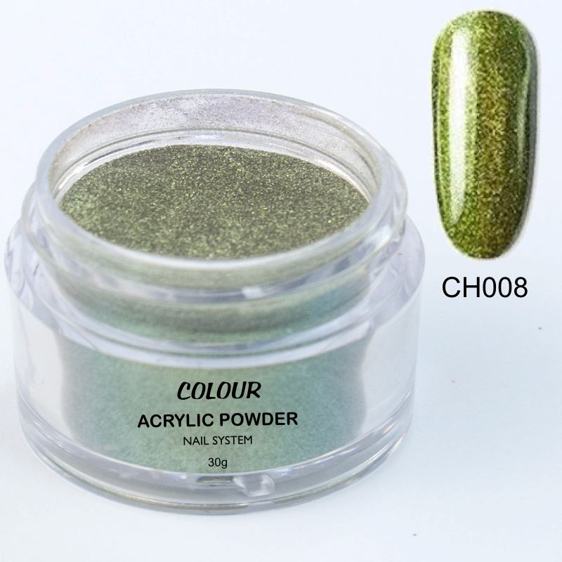 CH008