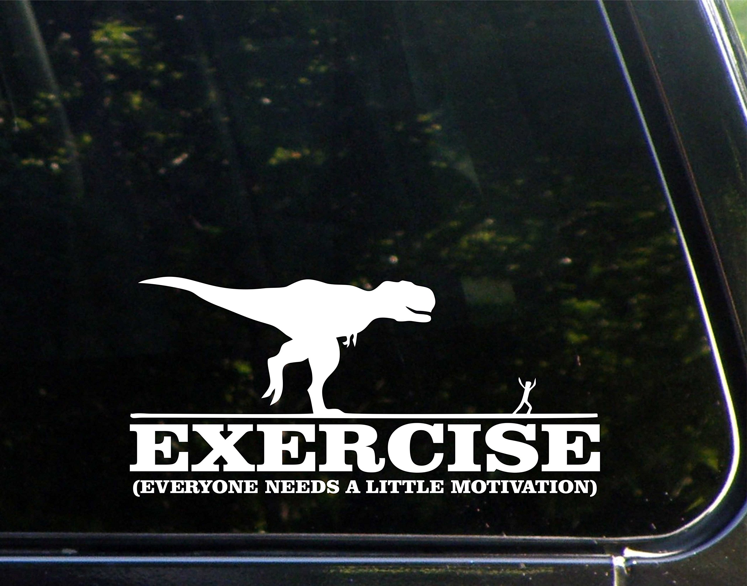 Sign Depot 8-Inch Motivational Exercise Wall Sign - Perfect for Home Gyms, Workout Rooms & Fitness Studios