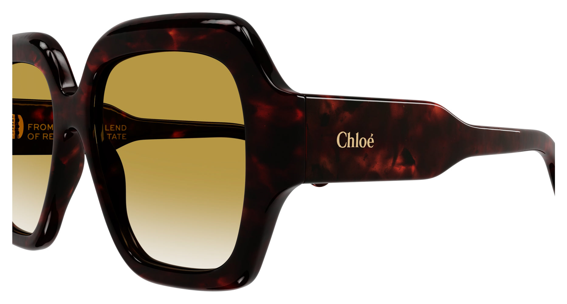 Chloe CH0154S Sunglasses for Women - UV Protection Polarized Fashion Shades - Perfect for Driving, Beach & Outdoor Activities