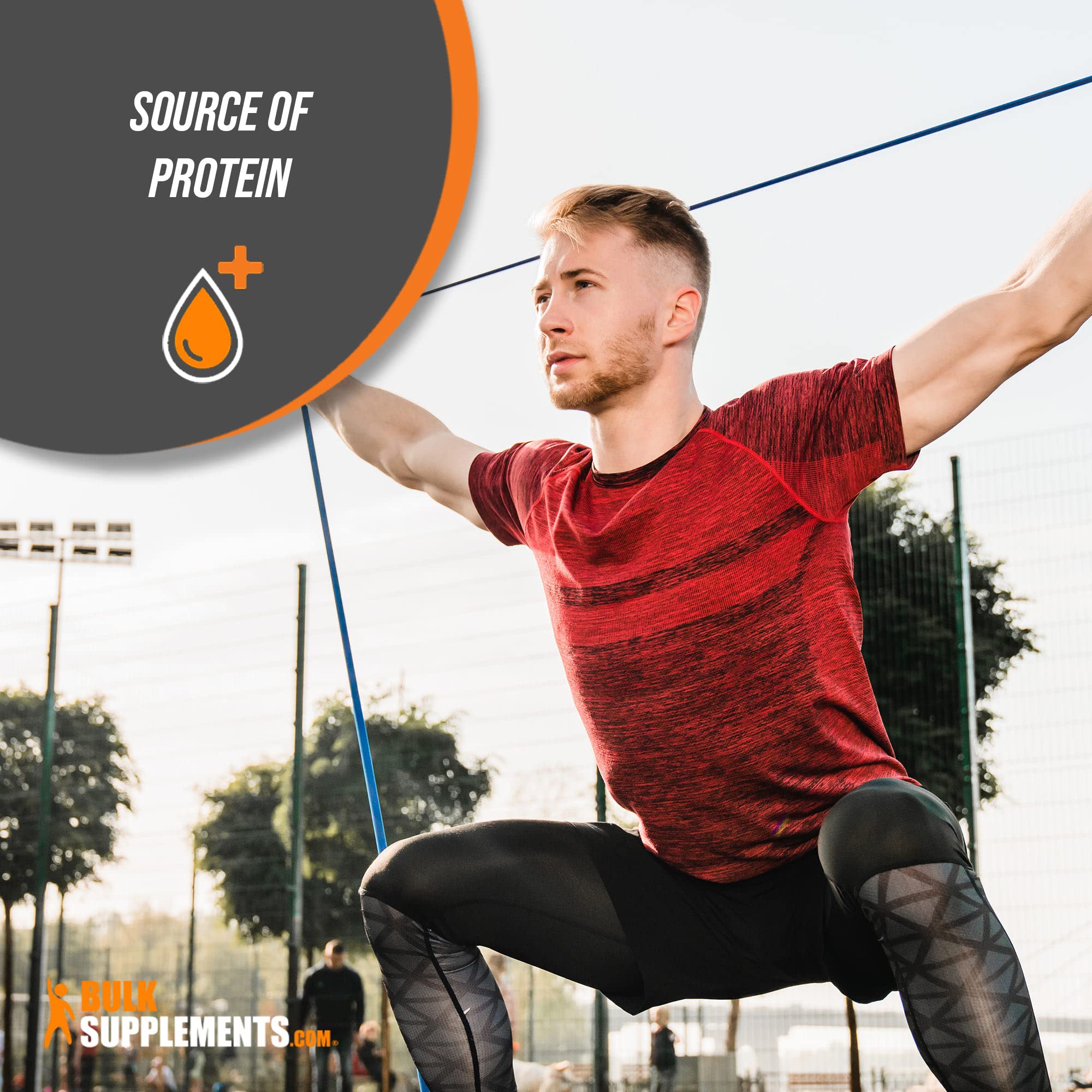 BulkSupplements White Kidney Bean Extract Powder - 1500mg per Serving, Gluten Free, Digestive Support & Protein Source - 5kg (11 lbs) Bulk Pack - Ideal for Smoothies, Baking & Weight Management
