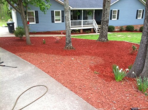EnviroColor Red Mulch Dye | 32 oz Covers 2400 Sq Ft - Permanent Wood Mulch Paint for Landscaping & Garden Beds - Vibrant Color Enhancer for Flower Beds, Pathways & Commercial Landscaping Projects