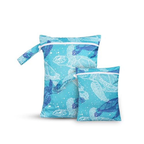 Blue turtle