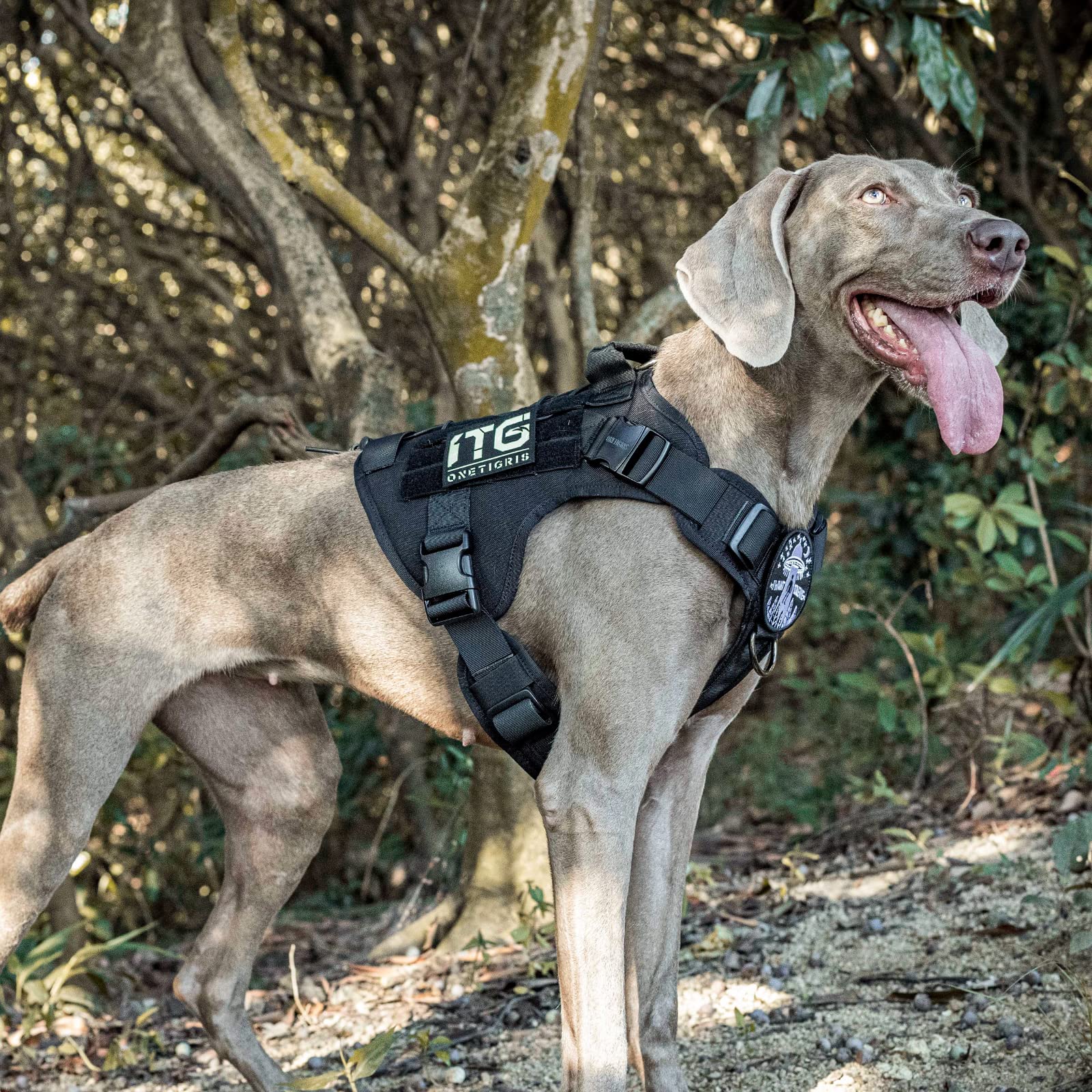 OneTigris Tactical Dog Harness Vest with Handle - Adjustable No-Pull Military Vest for Large & Medium Dogs - Service Dog Harness for Walking, Hiking & Training (M, Black) - Perfect for Outdoor Adventures & Police K9 Units