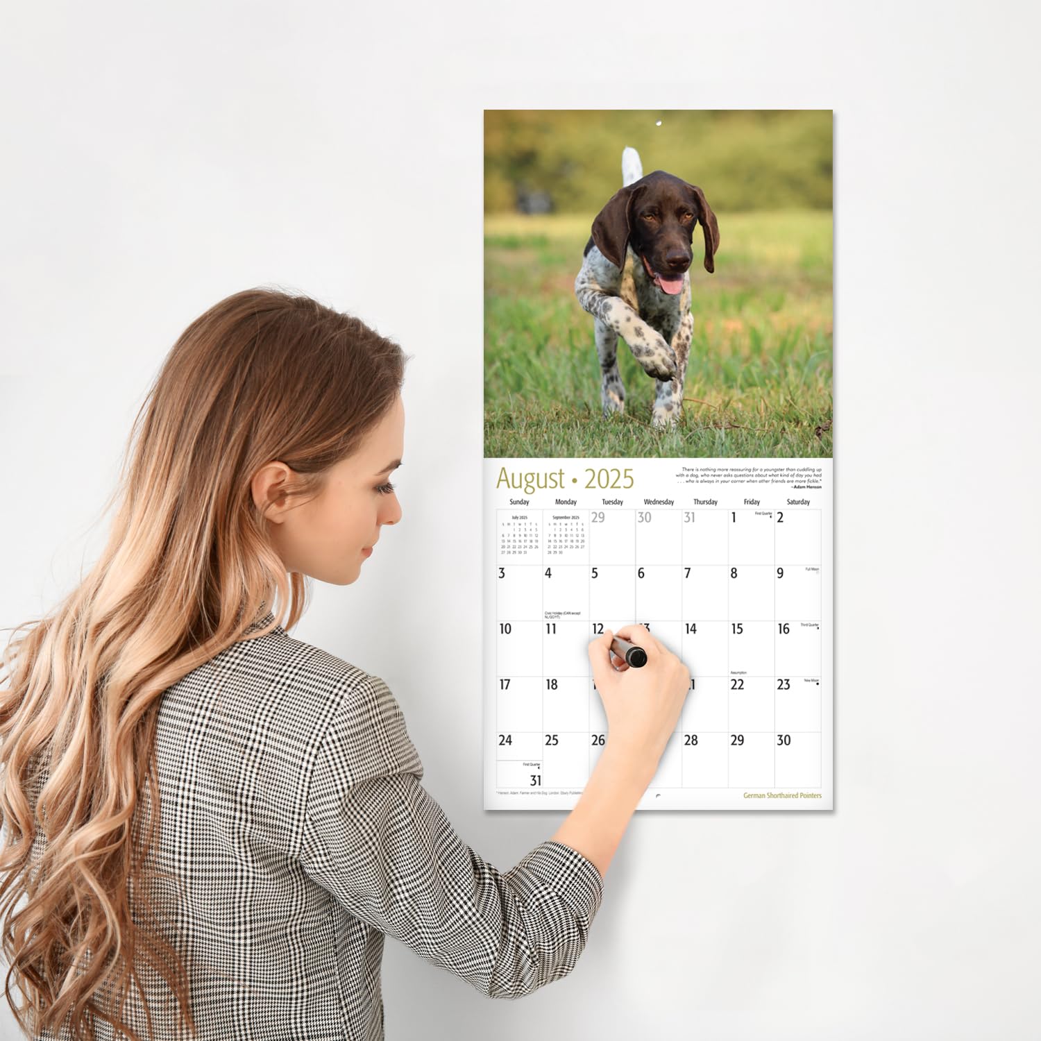 RED EMBER Select - 2025 German Shorthaired Pointer Dog Breed Wall Calendar | 12
