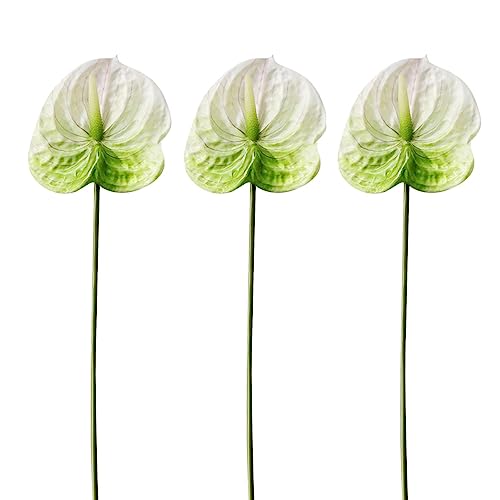 Green White