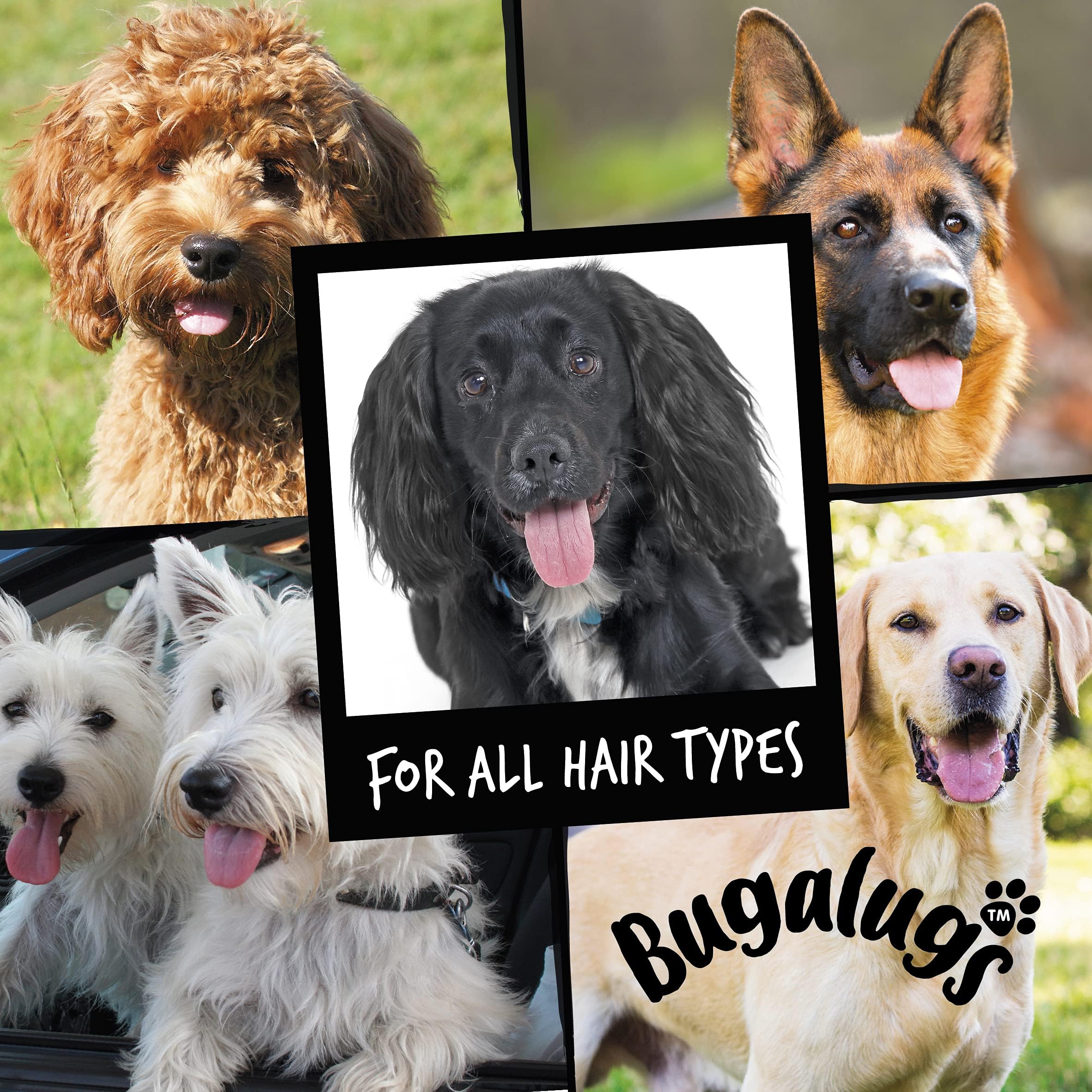 BUGALUGS Dog Cologne & Deodorant Spray 250ml - Long-Lasting Fresh Fragrance for Dogs | Pet Odor Control & Grooming Essential for Home, Travel & Outdoor Adventures