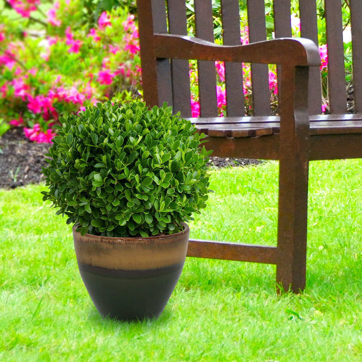 Sunnydaze Resort Round Glazed Ceramic Planter with Drainage Hole - Outdoor Garden Flower Pot for Patio, Deck & Balcony Decor