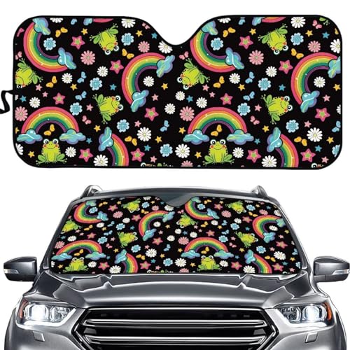 Rainbow Daisy Frog Print