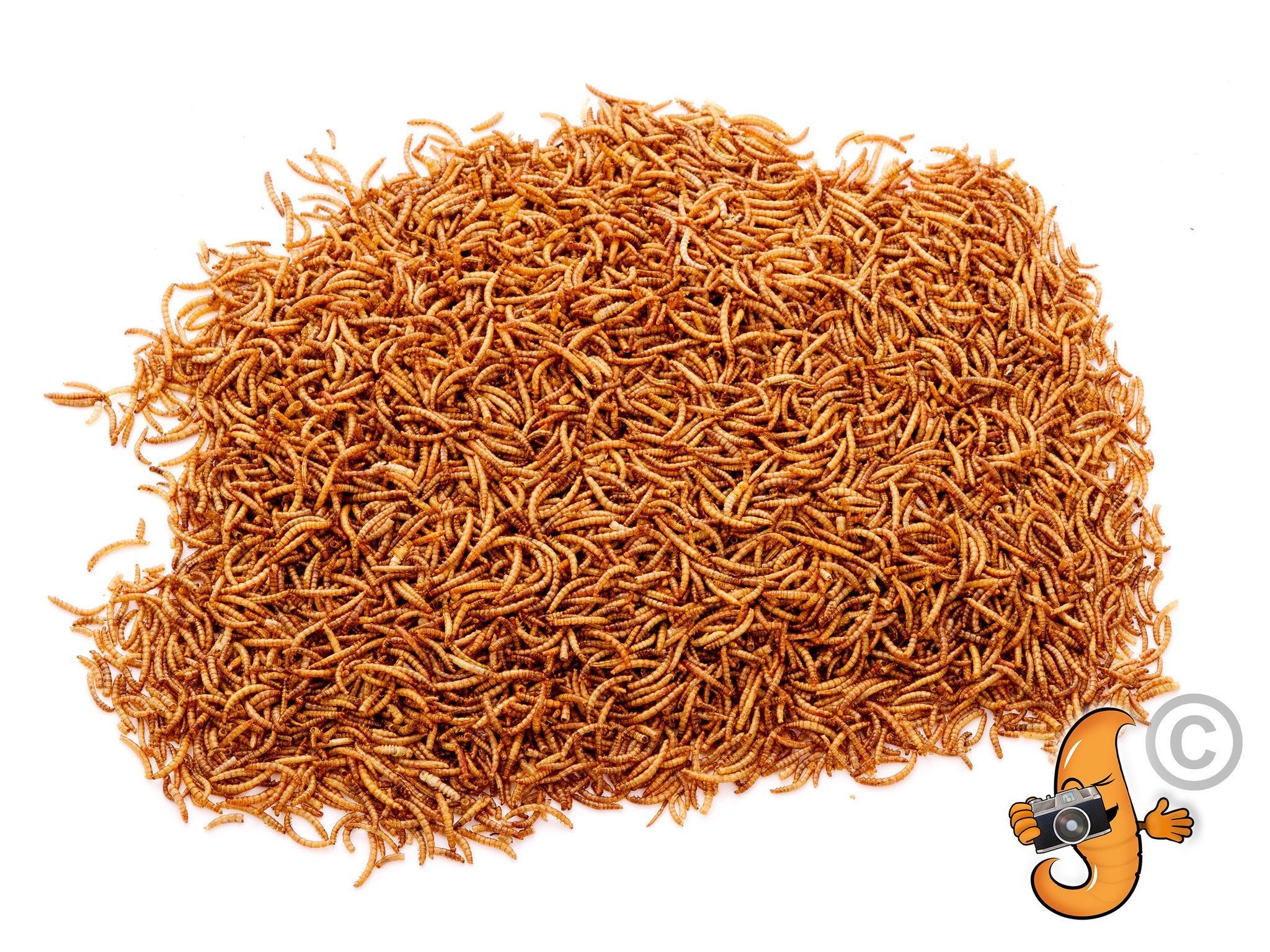 10Lbs Chubby Dried Mealworms for Reptiles, Birds & Chickens - High Protein Pet Food & Wild Bird Treat